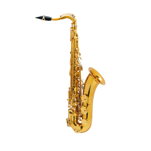 Saxofone Tenor Selmer Supremo Goldmessing